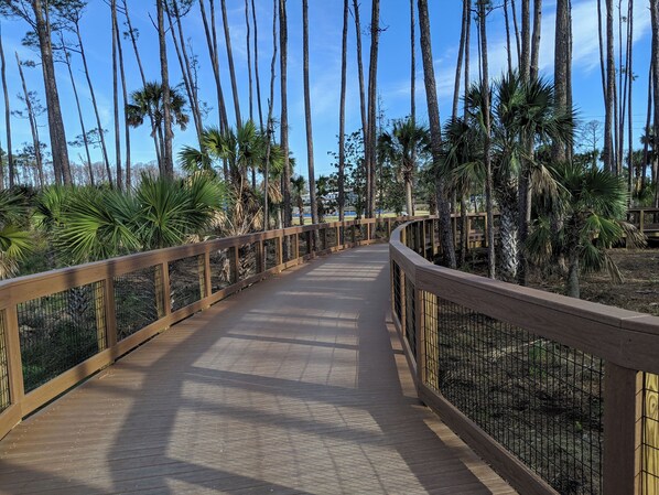 A wooden boardwalk with metal railings, surrounded by tall trees and palm plants. - Pet Friendly, Gulf View 3 Bedroom, Pool & Tennis ~ Barrier Dunes 493 (Cape San Blas)