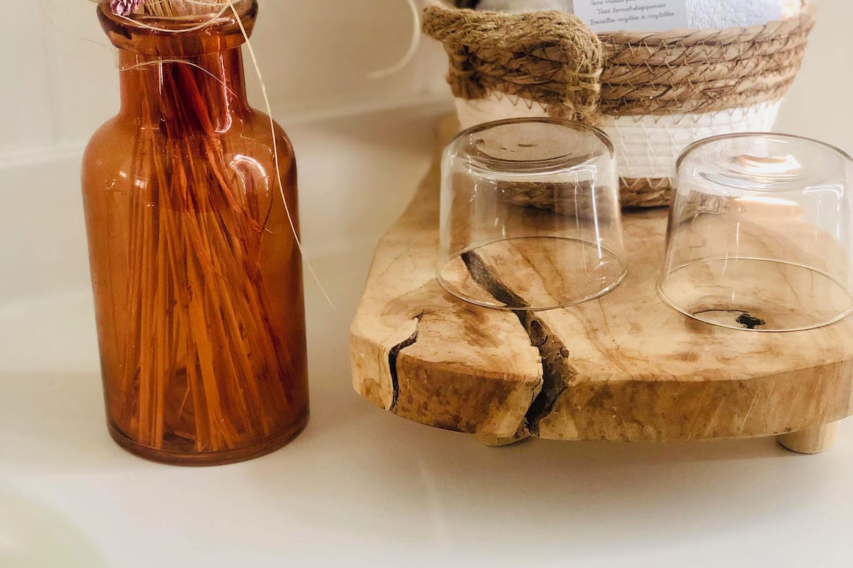 hair dryer, soap, shampoo, toilet paper