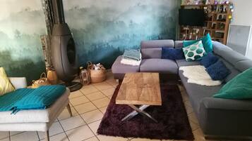 Télévision, cheminée, lecteur de DVD, livres