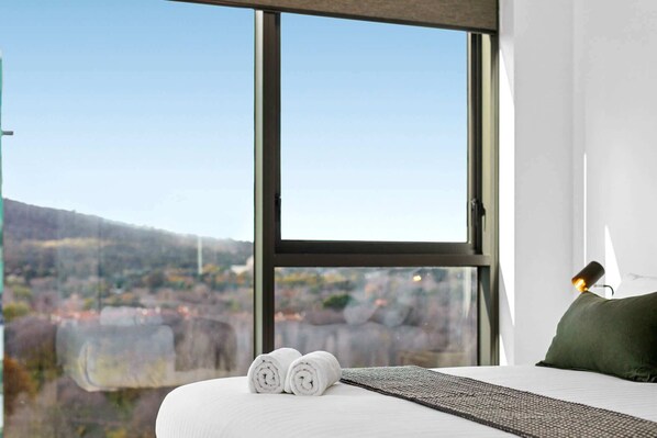 2 bedrooms, desk, iron/ironing board, WiFi