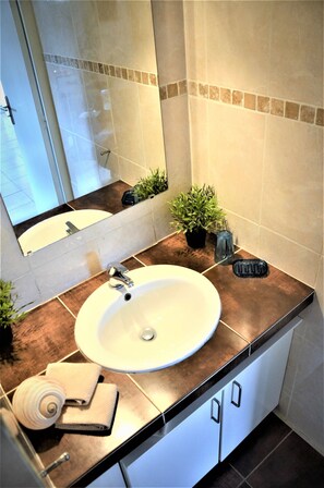 Shower, hair dryer, soap, shampoo