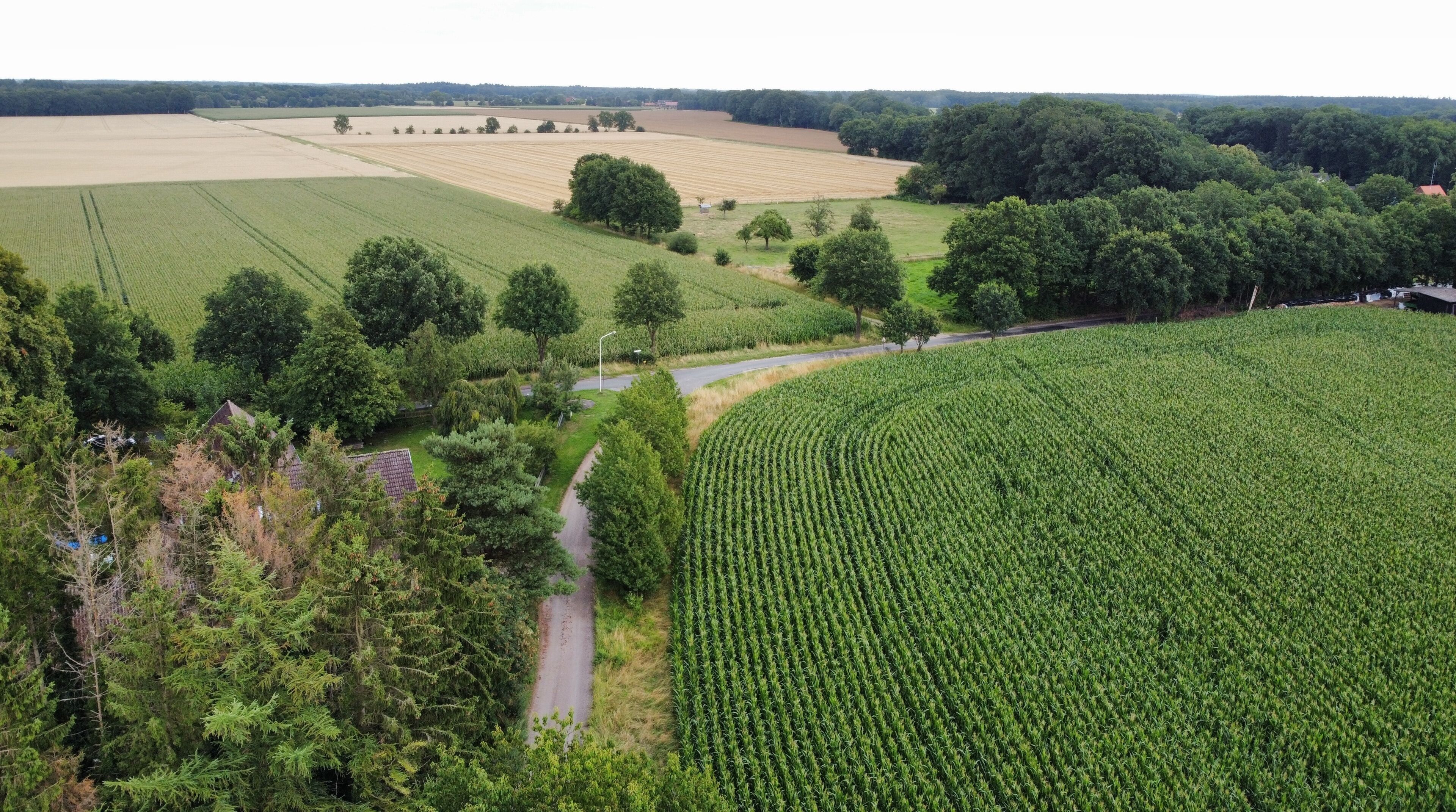 An aerial view of a rural landscape with fields, trees, and a road.