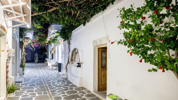 A narrow stone-paved alleyway with white walls, a wooden door, and hanging plants. - Room 7 @ Pelican Paros in the Old Town (Paros)
