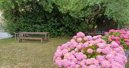 Logis de la Provosterie - CYCLAMEN