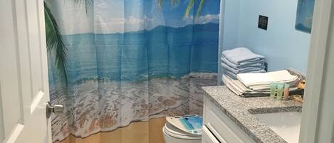 Combined shower/tub, hair dryer, towels, soap
