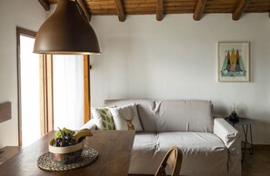 Älytelevisio, kirjoja, stereot