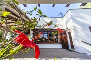 Exterior detail - Sa Rota de l'Avi - with private swimming pool (Palma)