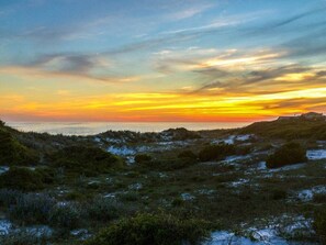 A coastal landscape with dunes and vegetation during sunset.