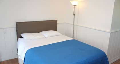 Newly renovated Room #7 Single Queen Bed