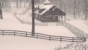 A snow-covered landscape with a wooden cabin and a wooden fence. - The Chalet is located in the woods of a gated property with a covered porch. (Darlington)