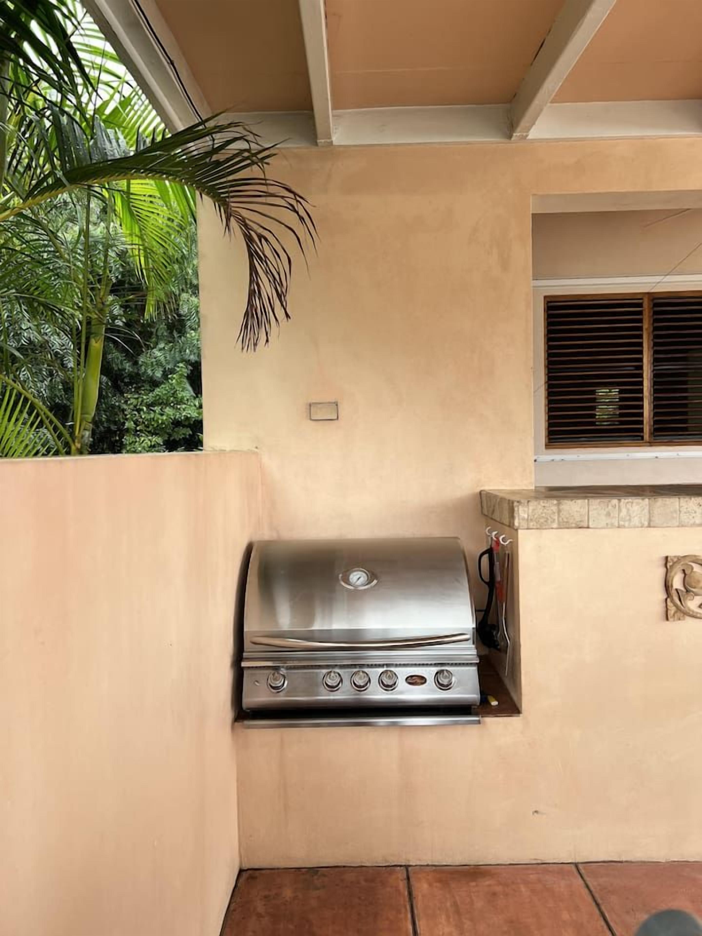 A barbecue grill installed against a wall, with a window above it and a plant to the left.
