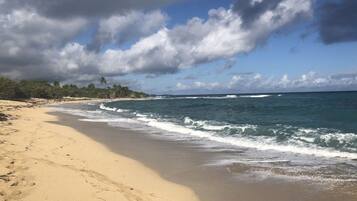 A beach with a sandy shore and waves.