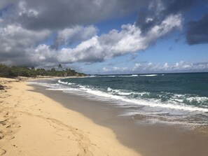 Une plage avec un rivage sablonneux et des vagues.