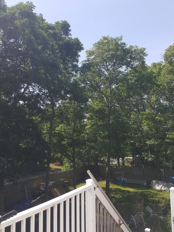 A view from a balcony overlooking a backyard with trees and a fenced area. - Dog friendly, Clean Studio with Separate Entrance 2.4 miles to Beach (Cotuit)