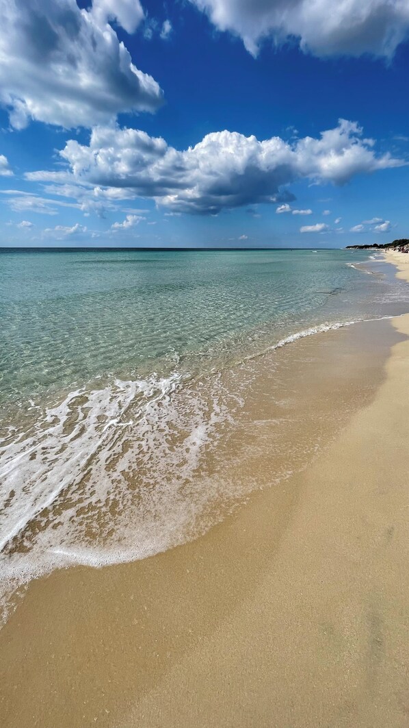 Beach nearby, sun loungers, beach towels - VILLA WITH POOL BETWEEN THE VINEYARDS (San Pietro In Bevagna)