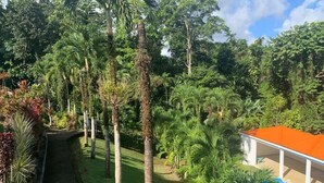 A lush garden with tall palm trees, a swimming pool, and a covered area with a red roof. - Love Nest in the heart of the forest (Petit Bourg)