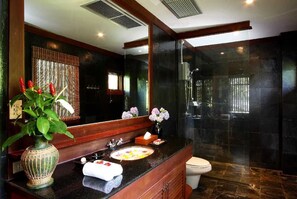 Combined shower/bathtub, hair dryer, bidet, towels