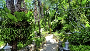 A stone pathway flanked by lush greenery and decorative lanterns, leading through a tropical garden setting.