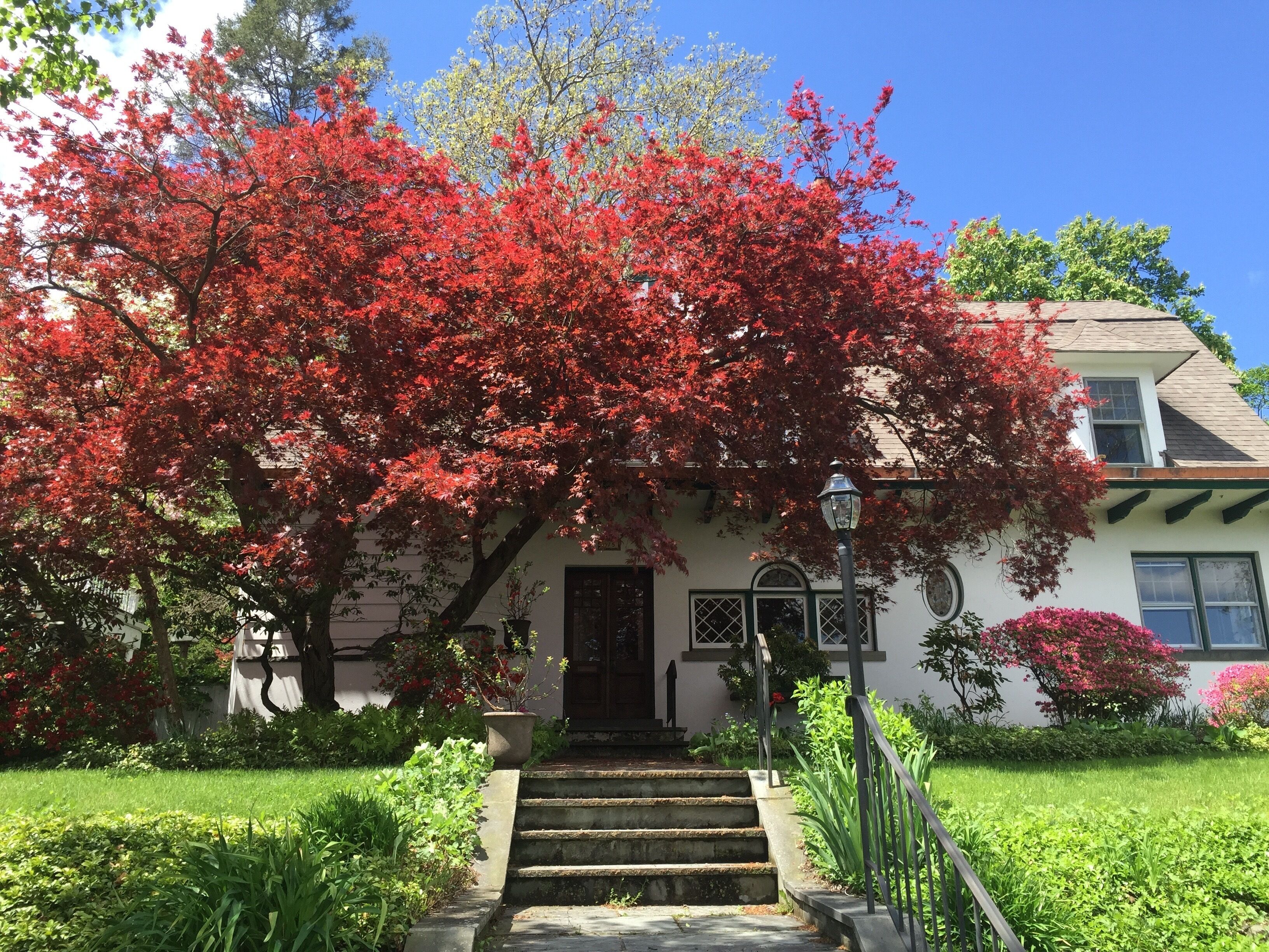 Historic British Arts & Crafts Garden Cottage on the Hudson