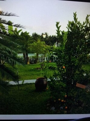 Vista frontal de la propiedad