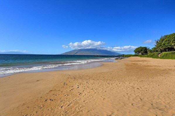 Playa en los alrededores, camastros y toallas de playa