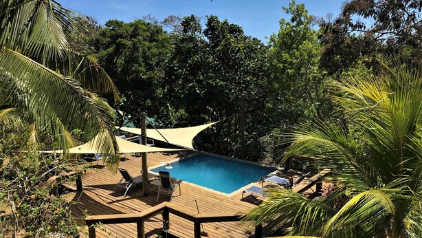 Une terrasse en bois avec une piscine, entourée d’une végétation luxuriante et de palmiers.