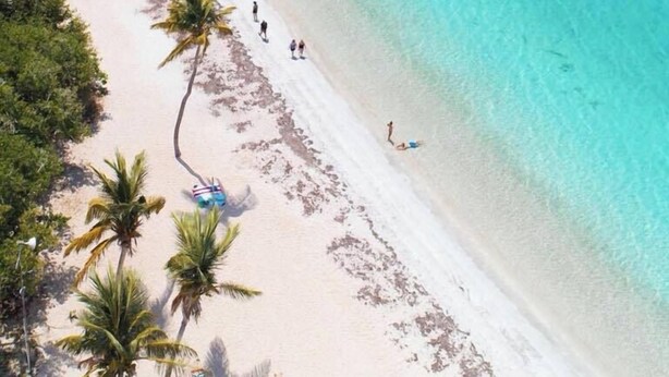 An aerial view of a beach with clear turquoise waters, white sand, and palm trees. - Oceanfront Condo • Pool • Near Seven Seas Beach (Fajardo)