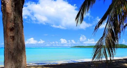 Caribbean Oceanfront Getaway-Near El Yunque and Seven Seas