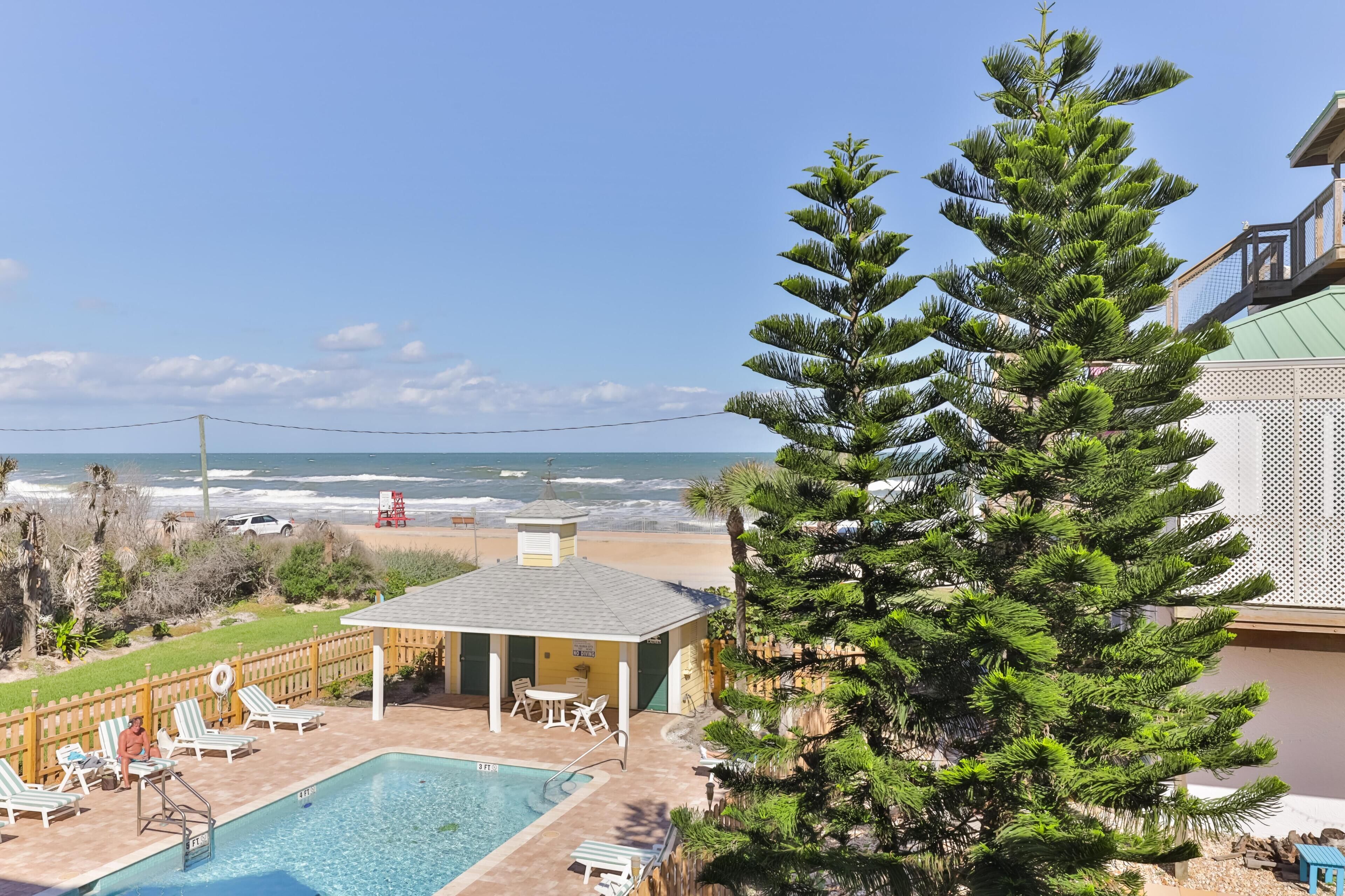 A pool area with a view of the ocean, a small building, and a tall pine tree.