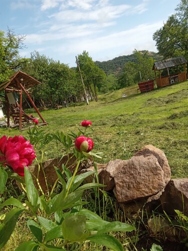 Traditional Camping ,Romania