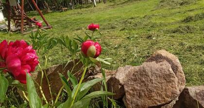 Traditional Camping ,Romania