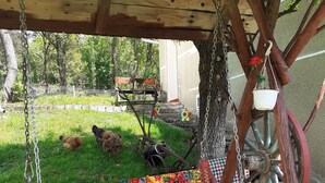 A colorful outdoor swing with a floral-patterned cushion and a white pillow, set against a backdrop of a grassy yard and a rustic wooden structure. - Traditional Camping ,Romania (Roșia Montană)