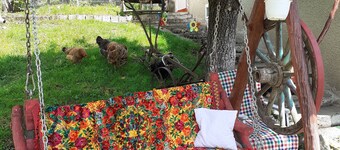 Traditional Camping ,Romania