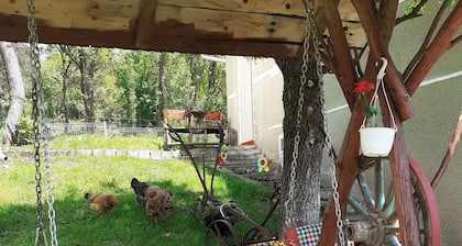 Traditional Camping ,Romania