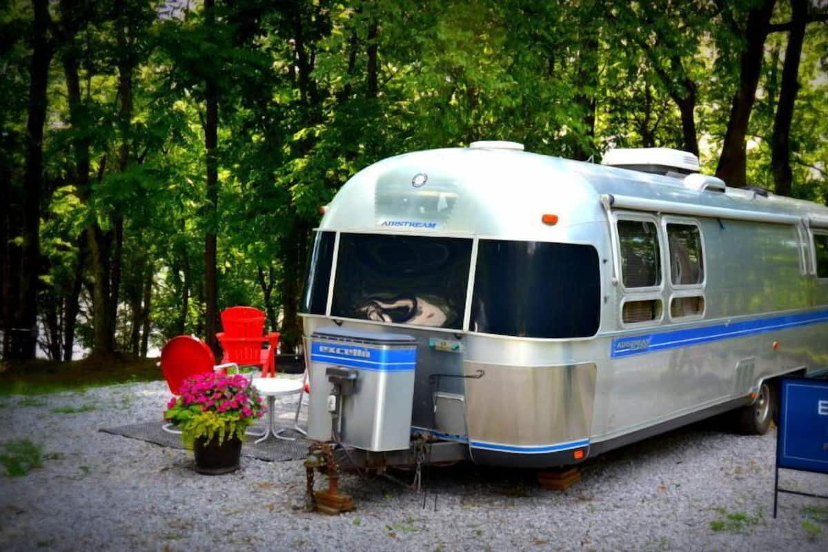 A vintage camper van parked in a forested area with a sign reading "EMMY LOU PARKING".
