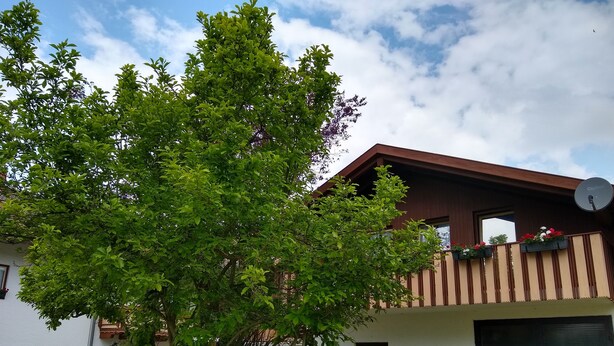 Edificio de dos pisos con balcón, antena parabólica y jardín con diversas plantas y un banco.