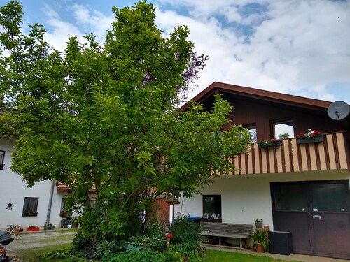 Wohnung/Ferienhäuschen