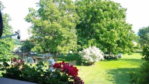 Un jardín con una terraza de madera, césped y un árbol grande.