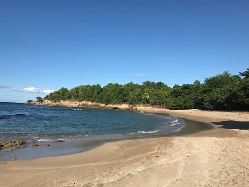 SOUS LES COCOTIERS STUDIO 2 CLIMATISE