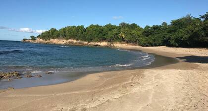 SOUS LES COCOTIERS STUDIO 2 CLIMATISE