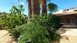 A garden with palm trees and various plants, a building with a tiled roof, and a clear blue sky. - VILLA MARIA, NEAR PALMA BEACH (Sant Jordi, Palma)