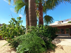 Área da propriedade