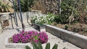 Un giardino con una pianta di palma, fiori bianchi e rosa, e un muro in pietra.