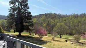 A deck with outdoor furniture, a view of a grassy area with trees, and a forested hill in the background.