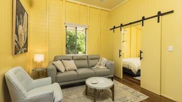 TV connectée, cheminée, lecteur de DVD, livres