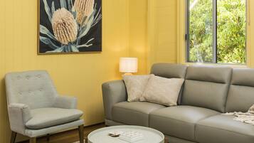 Smart TV, fireplace, DVD player, books