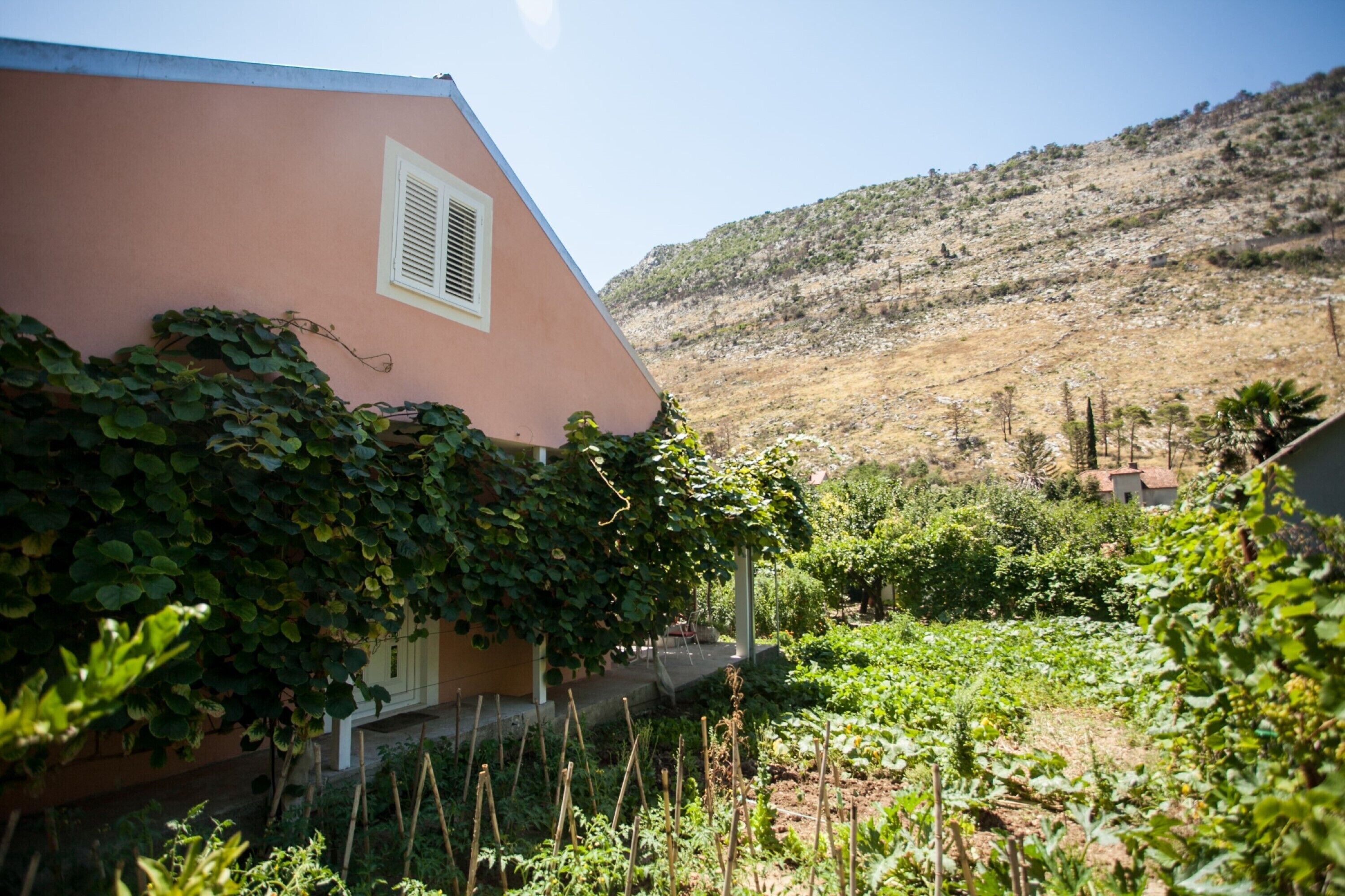 Una casa con techo inclinado y un pequeño porche, rodeada por un jardín con diversas plantas y una colina al fondo.
