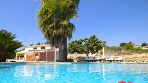 En klarblå swimmingpool med liggestole og en palme.