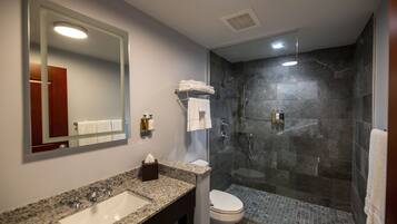 Une salle de bain moderne avec un lavabo surmonté d’un plan de travail en granit, des toilettes blanches, une douche à parois de verre et un grand miroir.