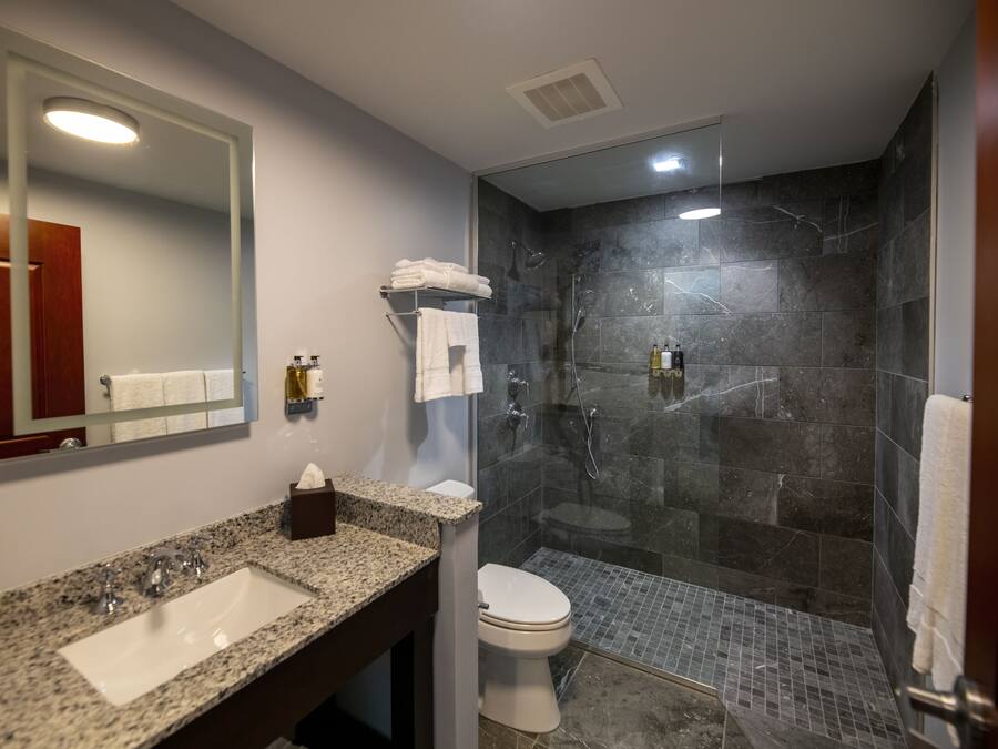 Une salle de bain moderne avec un lavabo surmonté d’un plan de travail en granit, des toilettes blanches, une douche à parois de verre et un grand miroir.